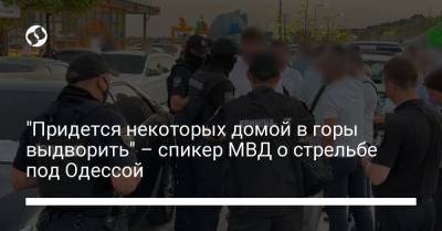 "Придется некоторых домой в горы выдворить" – спикер МВД о стрельбе под Одессой