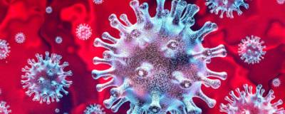 С начала июля в Новосибирской области заразились коронавирусом более 2,3 тысяч человек