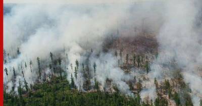 Природный пожар почти на 900 га тушат в Магаданской области