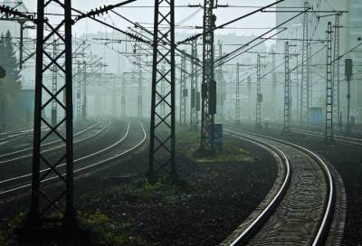 За полгода на железнодорожных путях в Петербурге и Ленобласти произошло почти 40 несчастных случаев
