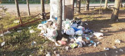 Свалка мусора образовалась в популярном месте отдыха жителей Карелии