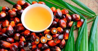 Диетолог рассказала, как распознать пальмовое масло в продуктах