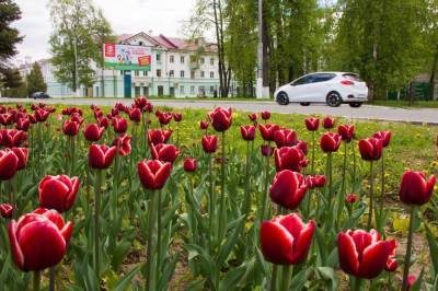 «Город миллиона цветов»: Все больше жителей Зеленодольска присоединяются к участию в городском проекте