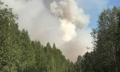 Лесной пожар угрожает поселку в Карелии