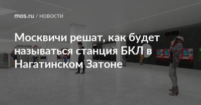 Москвичи решат, как будет называться станция БКЛ в Нагатинском Затоне