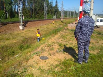 Осужденных из Волосовского района привлекли к благоустройству территории РЖД