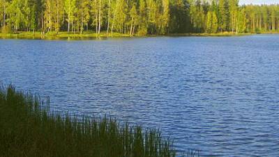 Тело пропавшего бизнесмена нашли рядом с озером в Екатеринбурге