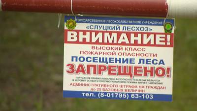 В 70 районах Беларуси введён запрет на посещение лесов