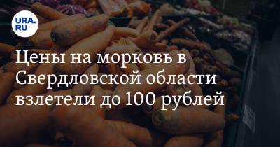 Цены на морковь в Свердловской области взлетели до 100 рублей