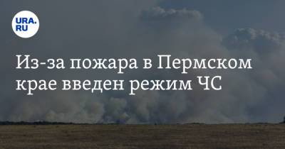 Из-за пожара в Пермском крае введен режим ЧС