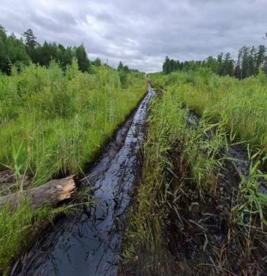 Росприроднадзор по Югре: Угроза попадания нефти в результате аварии на нефтепроводе "Роснефти" в водоем отсутствует