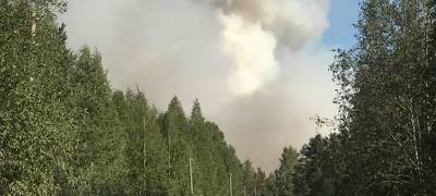 МЧС в Карелии эвакуировало 70 жителей поселка, к которому приближается страшный лесной пожар