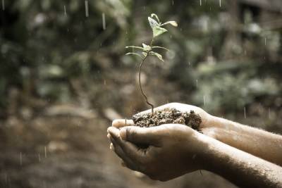 На Кубани введут системное проведение агрохимических обследований, чтобы сохранить плодородие почв