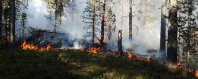 В Карелии из-за лесных пожаров ввели режим повышенной готовности