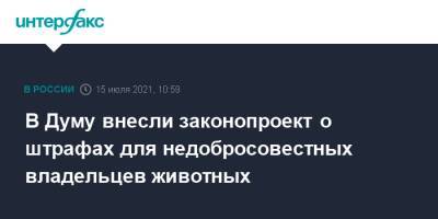 В Думу внесли законопроект о штрафах для недобросовестных владельцев животных