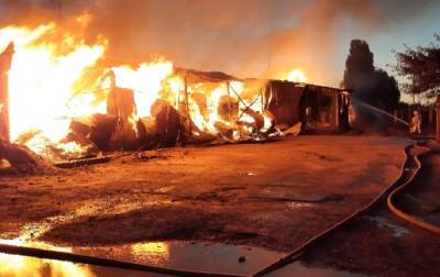 В Харькове произошел масштабный пожар на складе с древесиной, задействовали пожарный поезд