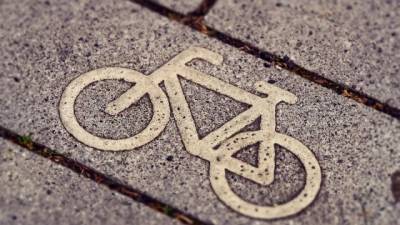 Протяженность велодорожек Петербурга увеличится более чем в два раза к 2030 году - delovoe.tv - Санкт-Петербург - Петербург