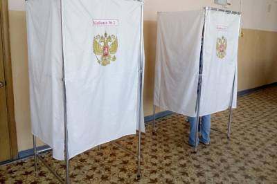 Картина дня в Хабкрае: выборы без онлайн наблюдения и помидоры с «ковидом»