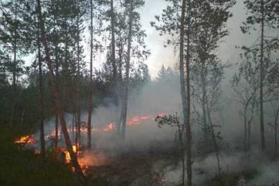 В Суоярвском районе ввели режим ЧС из-за лесного пожара