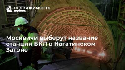 Москвичи выберут название станции БКЛ в Нагатинском Затоне