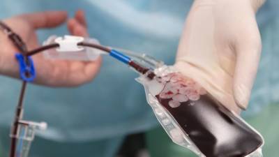 В Крыму дефицит донорской крови с отрицательным резусом