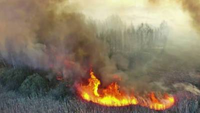 В Якутии выгорело около миллиона гектаров тайги (видео)