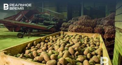 В казанском Кремле прокомментировали рост цен на овощи в Татарстане