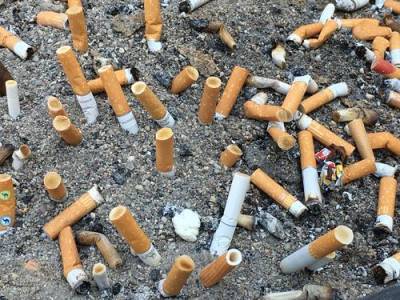 Курение наносит колоссальный вред экологии планеты