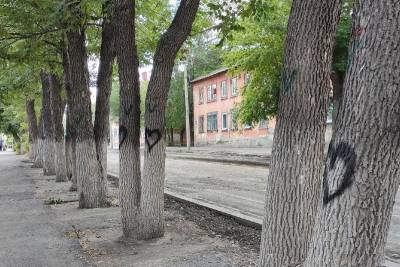 Власти Кургана опровергли информацию о спиле деревьев на улице Кирова