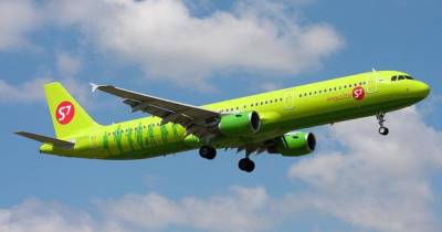 Самолет совершил вынужденную посадку в аэропорту Челябинска