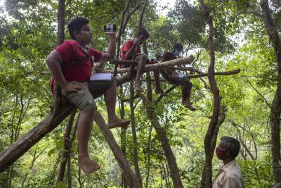 Дистанционка в Шри-Ланке: школьники занимаются онлайн на деревьях – Учительская газета