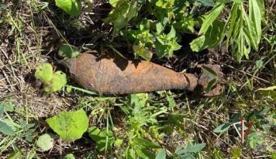 Под Тюменью дачники обнаружили в огороде минометный снаряд времен ВОВ со взрывателем