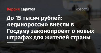 До 15 тысяч рублей: «единороссы» внесли в Госдуму законопроект о новых штрафах для жителей страны