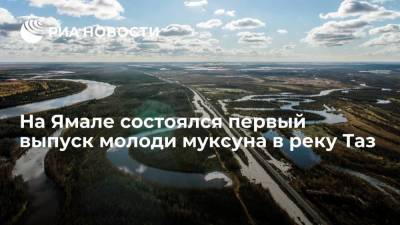 На Ямале состоялся первый выпуск молоди муксуна в реку Таз из садковой линии