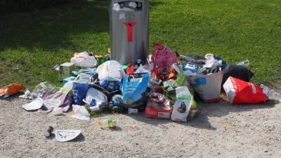 В парках и садах Петербурга возросло количество мусора