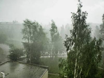 Ливень затопил столичный аэропорт «Шереметьево» (видео)