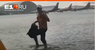 Аэропорт Шереметьево утонул в дожде
