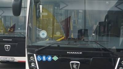 Вооруженный ножом мужчина зарезал пассажирку рейсового автобуса в Ростовской области