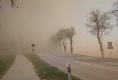 Пылевая буря из Сахары обрушится на Украину: стало известно, насколько это опасно