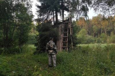 Хорошие новости: пропавшего в Костромском районе дедушку нашли в охотничьем шалаше