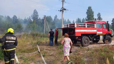 В Кингисеппе местные жители помогли остановить опасный лесной пожар — фото