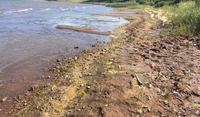 Аслыкулю грозит исчезновение: в Башкирии волонтеры исследовали питающие озеро родники