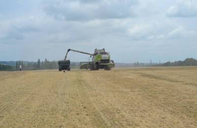 Урожайность ранних зерновых в Хмельницкой области выросла на 15%