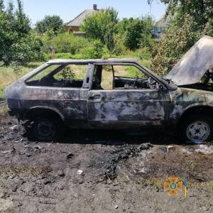 В Запорожской области во время движения вспыхнул «ВАЗ»: авто выгорело дотла. Фото