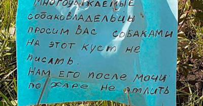 Жители района Москвы обратились к собачникам с просьбой не портить один куст