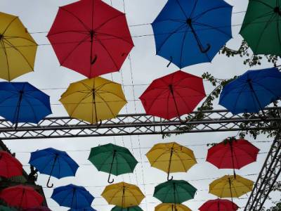 Географ Константинов предупредил москвичей об опасности кислотных дождей