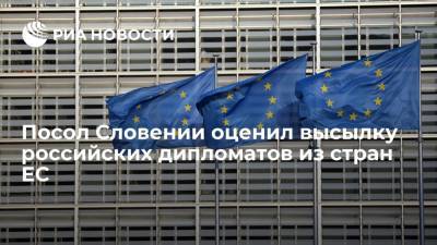 Посол Словении Бранко Раковец: Любляна солидарна с ЕС в вопросе высылки российских дипломатов