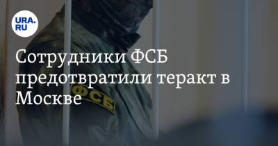 Сотрудники ФСБ предотвратили теракт в Москве. Видео