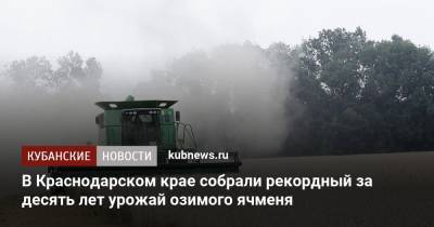 В Краснодарском крае собрали рекордный за десять лет урожай озимого ячменя