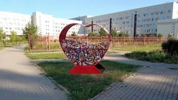 В Вологде установят кованое сердце для сбора пластиковых крышек